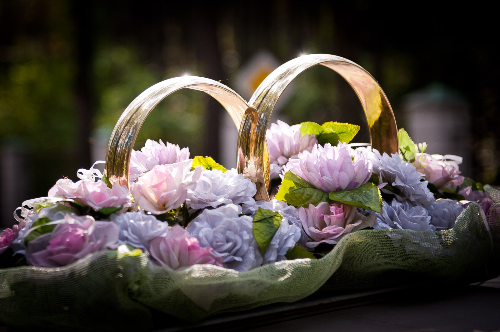 20100910 161 bogomaz.ru  FXB5869 www