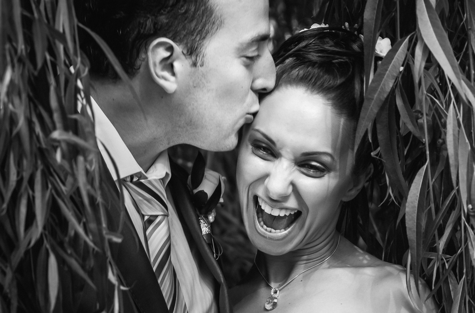 20080816 bogomaz.ru  DSC2293 www